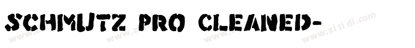 Schmutz Pro Cleaned字体转换